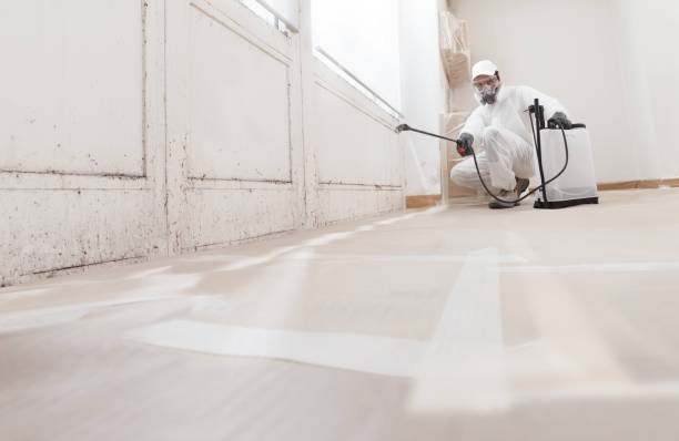 24/7 Emergency Mold Remediation experts in Dunn Loring, VA