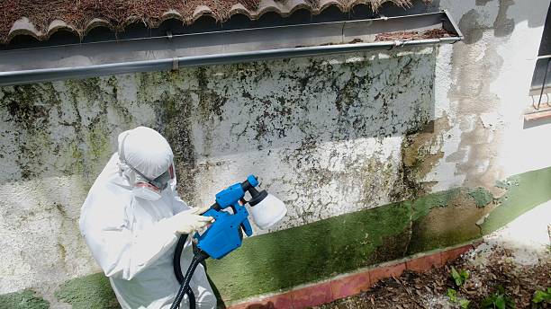 Top rated local Mold Remediation specialists in Dunn Loring, VA